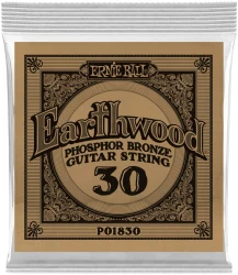 Ernie Ball 1830 Earthwood Phosphor Bronze 0.03 в Москве c доставкой