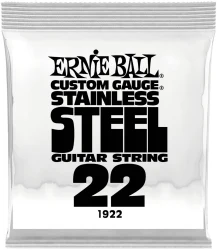 Ernie Ball 1922 Stainless Steel 0.022 в Москве c доставкой
