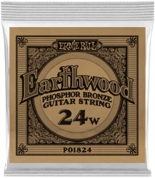 Ernie Ball 1824 Earthwood Phosphor Bronze 0.024 в Москве c доставкой