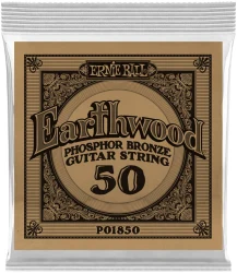 Ernie Ball 1850 Earthwood Phosphor Bronze 0.05 в Москве c доставкой