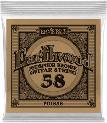 Ernie Ball 1858 Earthwood Phosphor Bronze 0.058 в Москве c доставкой
