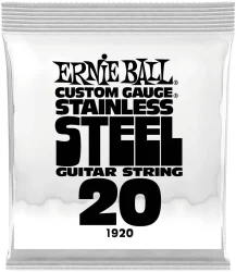 Ernie Ball 1920 Stainless Steel 0.02 в Москве c доставкой