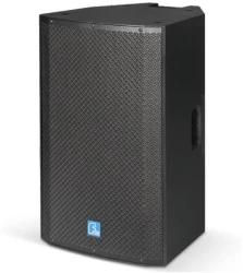 FDB Audio PS12 в Москве c доставкой