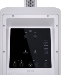 LD Systems MAUI 11 G3 W W в Москве c доставкой