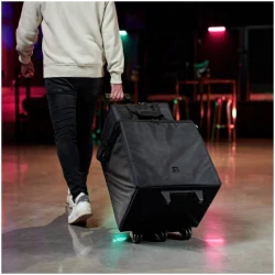 LD Systems DAVE 10 G4X BAG SET в Москве c доставкой