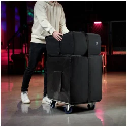 LD Systems DAVE 18 G4X BAG SET в Москве c доставкой