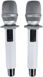 Axelvox DX800SW в Москве c доставкой