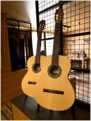 Perez 600 SPRUCE CARAMELO в Москве c доставкой