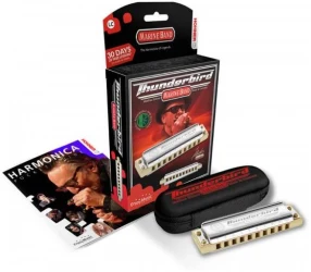 Hohner Marine Band Thunderbird D low в Москве c доставкой