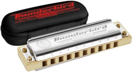 Hohner Marine Band Thunderbird D low в Москве c доставкой