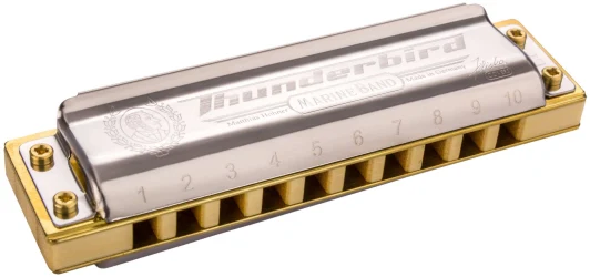 Hohner Marine Band Thunderbird D low в Москве c доставкой
