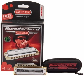 Hohner Marine Band Thunderbird D low в Москве c доставкой