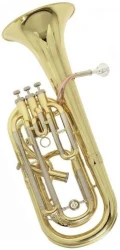 Roy Benson BH-302 в Москве c доставкой