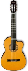 Ibanez GA6CE-AM в Москве c доставкой