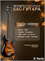 Terris SET-SSS SB в Москве c доставкой