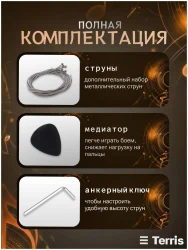 Terris SET-SSS SB в Москве c доставкой
