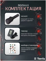 Terris SET-SSS BK в Москве c доставкой