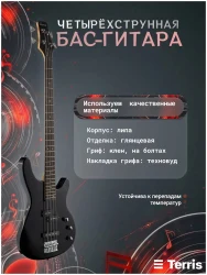 Terris SET-SSS BK в Москве c доставкой