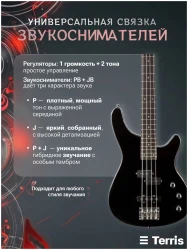 Terris SET-SSS BK в Москве c доставкой