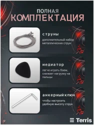 Terris SET-SSS BK в Москве c доставкой