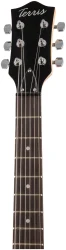 Terris TLP-039 WH в Москве c доставкой