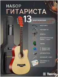 Terris TF-500C PACK NA в Москве c доставкой