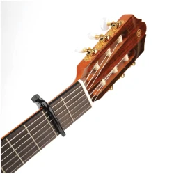 Planet Waves PW-CP-04 в Москве c доставкой