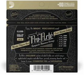 D'Addario EJ25 B в Москве c доставкой
