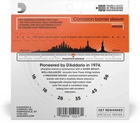 D'Addario EJ42 в Москве c доставкой
