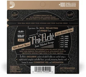D'Addario EJ51 в Москве c доставкой