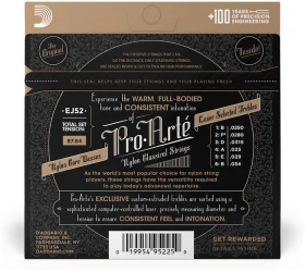 D'Addario EJ52 в Москве c доставкой