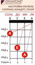 D'Addario EJ53 T в Москве c доставкой