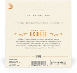 D'Addario EJ87 B в Москве c доставкой