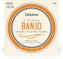 D'Addario EJ61 в Москве c доставкой