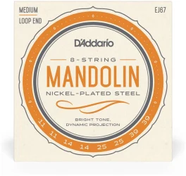 D'Addario EJ67 в Москве c доставкой