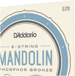 D'Addario EJ73 в Москве c доставкой
