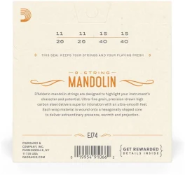 D'Addario EJ74 в Москве c доставкой