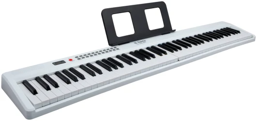 Terris TK-440 WH в Москве c доставкой