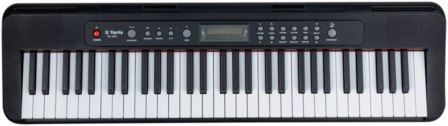 Terris TK-405 BK в Москве c доставкой