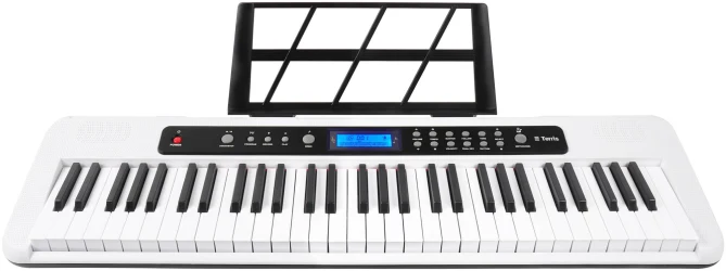 Terris TK-405 WH в Москве c доставкой